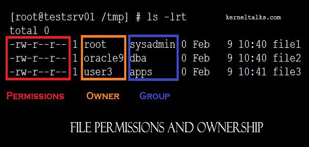 File permissions in Linux