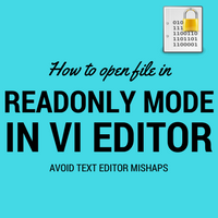 Read only in vi editor